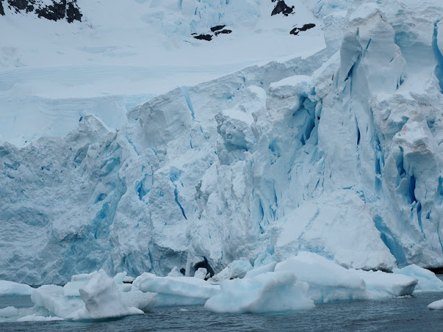 走近南極十日,南極的美或許也只有去過的人才能懂