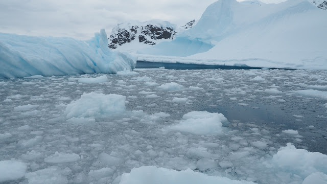 走近南極十日,南極的美或許也只有去過的人才能懂