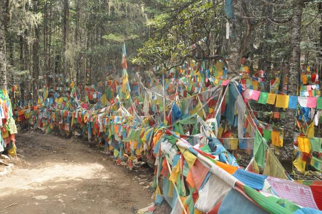 有個地方叫雨崩村,不去天堂就去雨崩徒步