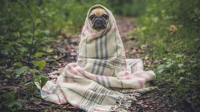 失溫怎么辦?戶外登山避免失溫的最常用辦法
