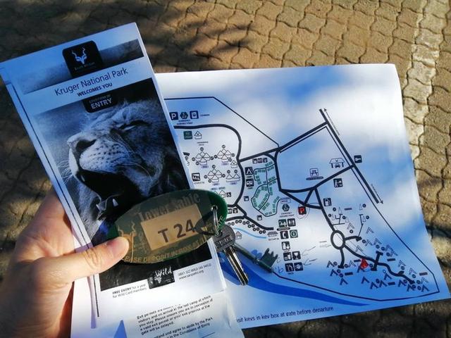 南非自駕游,在克魯格國家公園和非洲五霸親密接觸