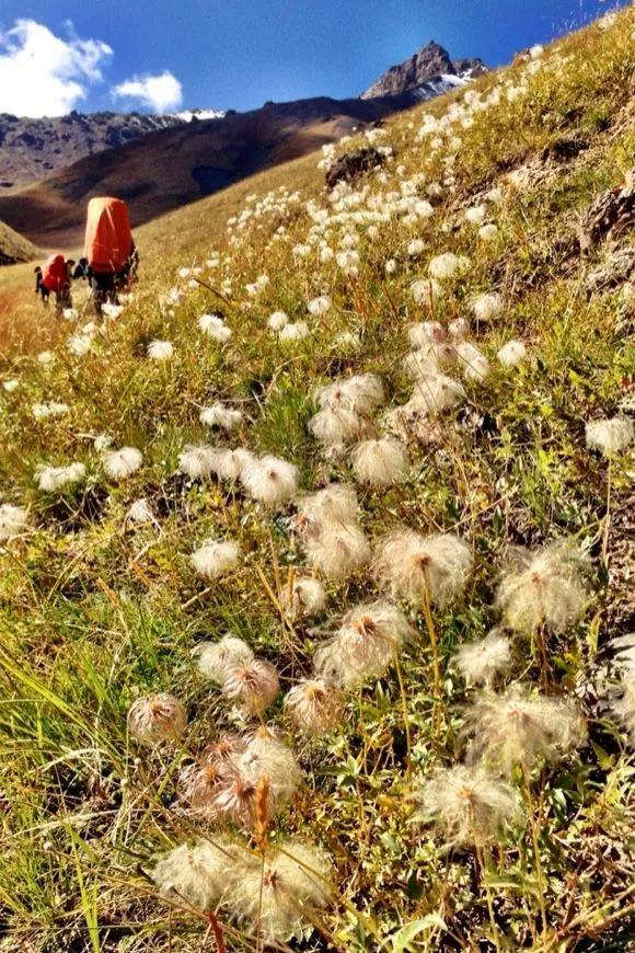 國內頂級徒步線路,狼塔教會我的那些事兒