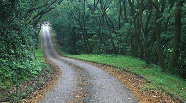 香港麥理浩徑全程徒步攻略,見(jiàn)證亞洲最美的海岸徒步線(xiàn)路