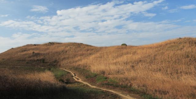 香港麥理浩徑全程徒步攻略,見(jiàn)證亞洲最美的海岸徒步線(xiàn)路