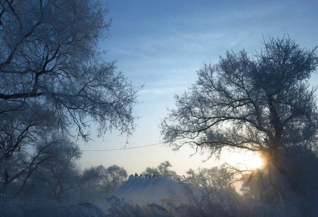 霧淞島,此生看過最美的雪景