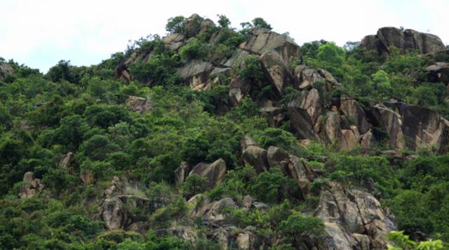 香港麥理浩徑全程徒步攻略,見(jiàn)證亞洲最美的海岸徒步線(xiàn)路