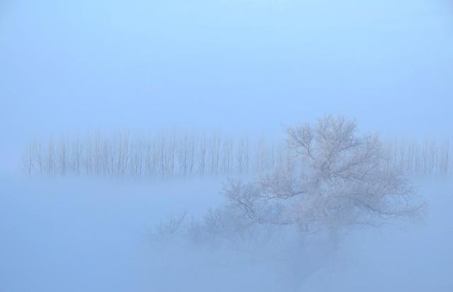 霧淞島,此生看過最美的雪景