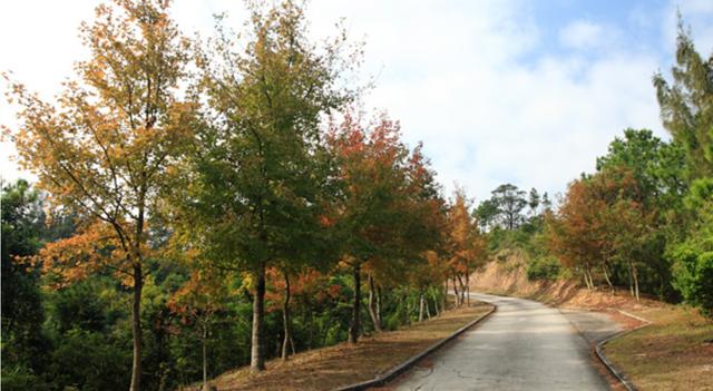 香港麥理浩徑全程徒步攻略,見(jiàn)證亞洲最美的海岸徒步線(xiàn)路