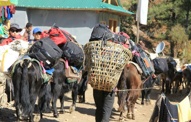 珠峰的向導與背夫,揭秘夏爾巴人的“特殊”日常生活