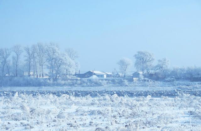 霧淞島,此生看過最美的雪景