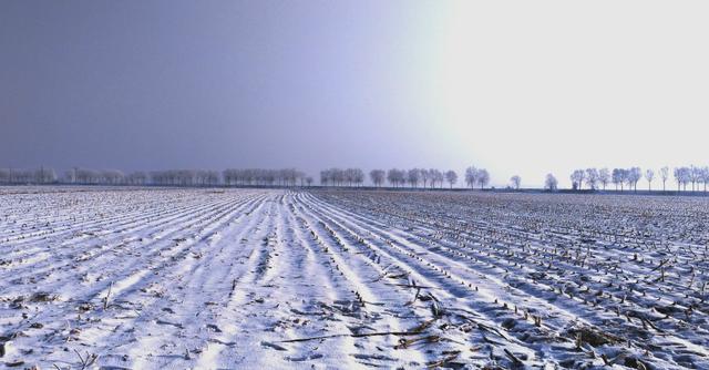 霧淞島,此生看過最美的雪景