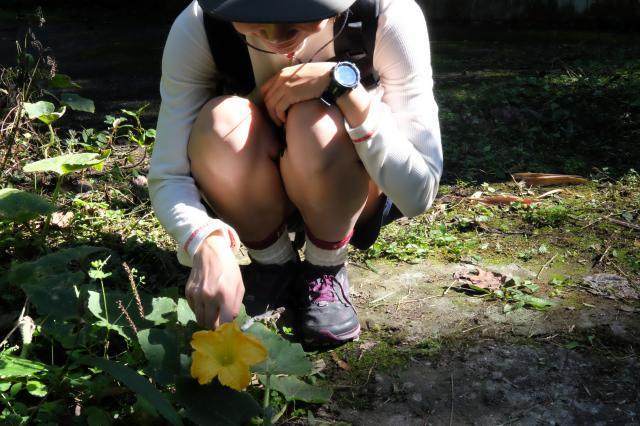 看我選擇的Salomon和Altra兩個品牌,就知道為什么喜歡戶外鞋