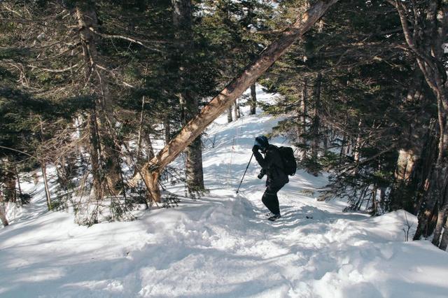 挪威高端戶外品牌Norrona老人頭保暖外套開箱曬單