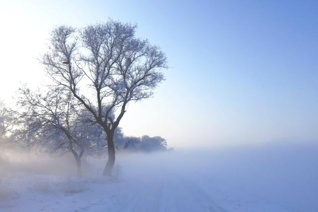 霧淞島,此生看過最美的雪景