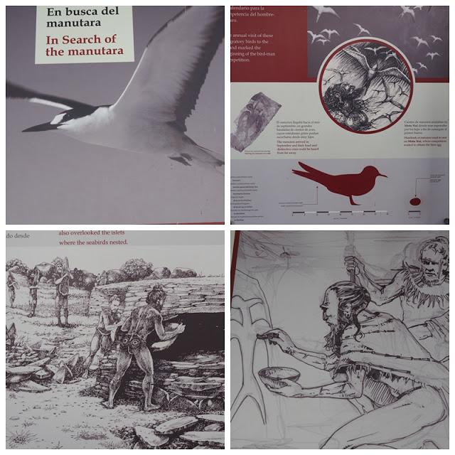 前往最與世隔絕的島嶼，智利復活節島自助旅行全攻略