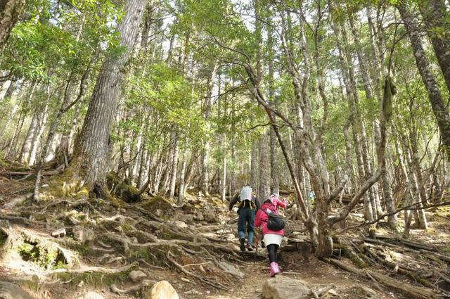 有個地方叫雨崩村,不去天堂就去雨崩徒步