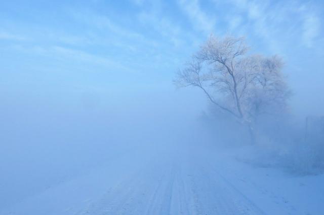 霧淞島,此生看過最美的雪景