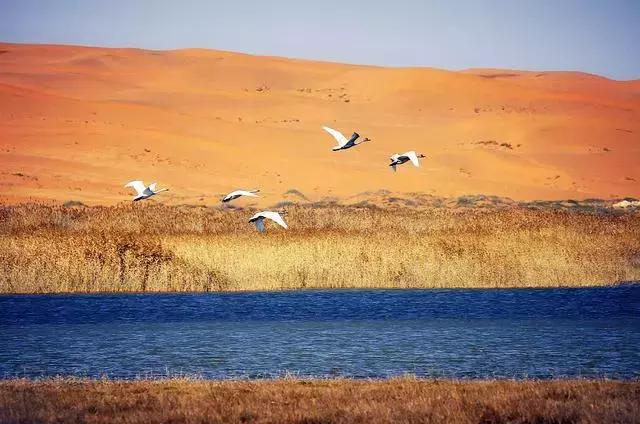 五一拼假攻略出爐,附上這10條經(jīng)典徒步路線