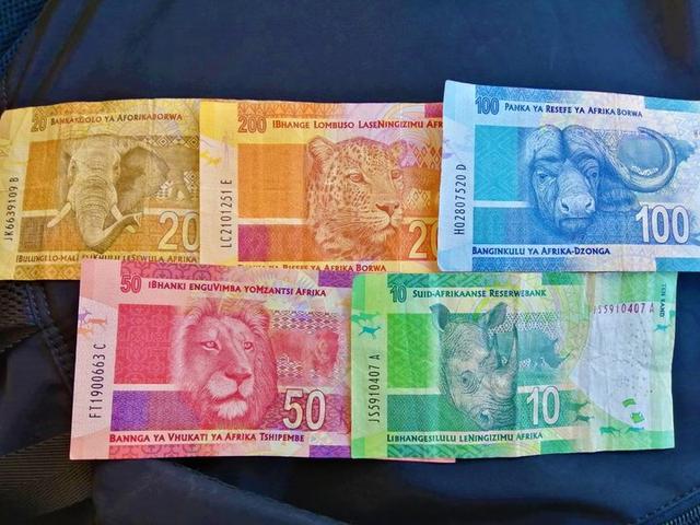 南非自駕游,在克魯格國家公園和非洲五霸親密接觸