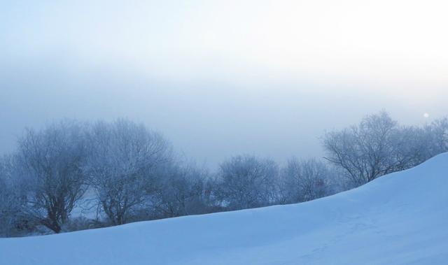 霧淞島,此生看過最美的雪景
