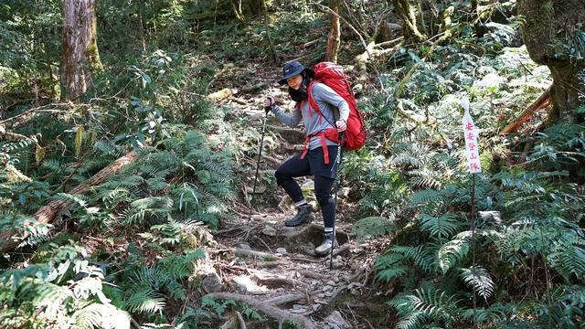 終于擁有了一對讓自己很滿意的登山杖，曬曬新入的Fizan登山杖