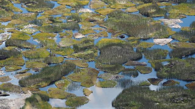 前往最與世隔絕的島嶼，智利復活節島自助旅行全攻略