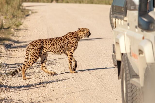 納米比亞自由行,一人一車獨自自駕24天