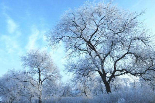 霧淞島,此生看過最美的雪景