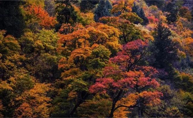 川西行,無法復制的一場說走就走的旅行