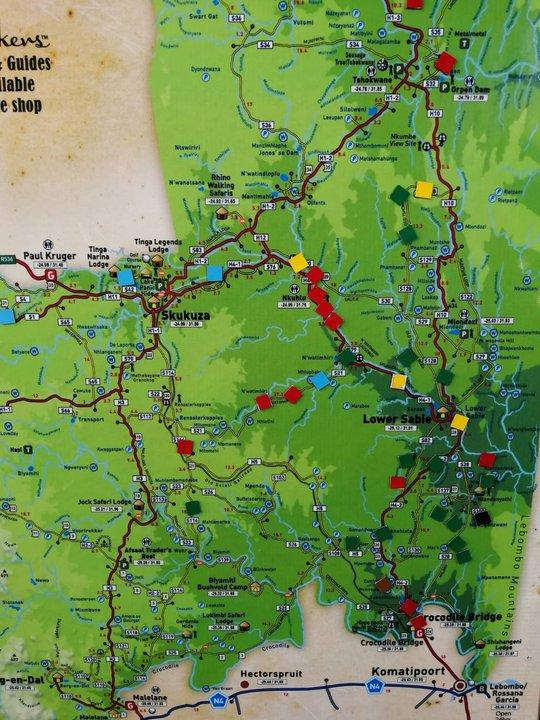 南非自駕游,在克魯格國家公園和非洲五霸親密接觸