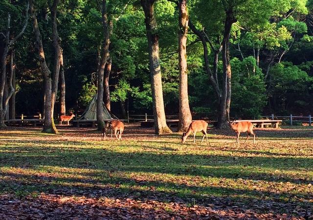 全球十大最值得去的露營地推薦,帶上帳篷就出發