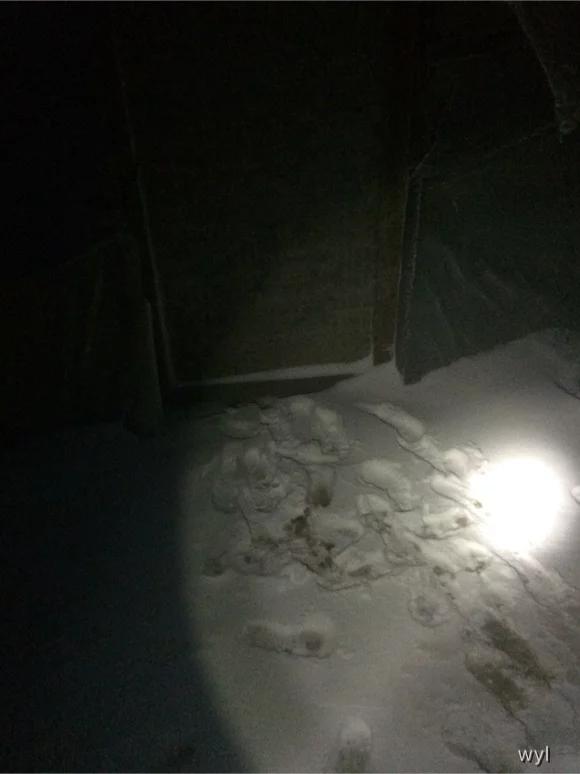 牛背山游記,封山前的徒步之旅