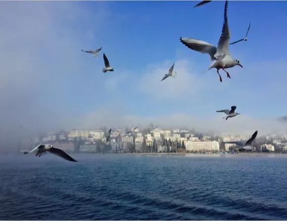 遠(yuǎn)離塵囂,瑞士自由行旅游攻略