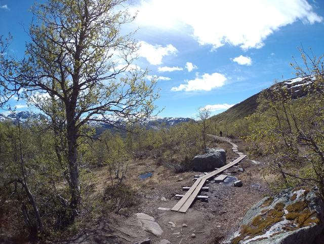 挪威徒步之旅，“惡魔之舌”露營游記