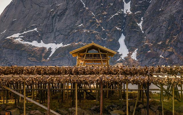 羅浮敦群島景點介紹、徒步旅行經驗分享、羅浮敦群島旅游自助攻略與拍照建議