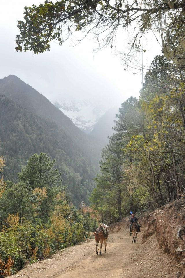 有個地方叫雨崩村,不去天堂就去雨崩徒步