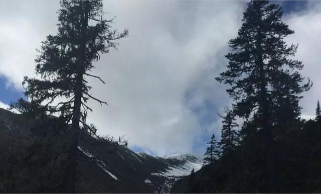 川西行,無法復制的一場說走就走的旅行