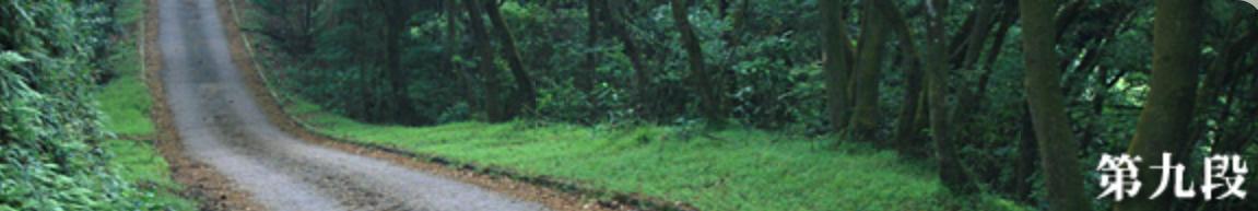 香港麥理浩徑全程徒步攻略,見(jiàn)證亞洲最美的海岸徒步線(xiàn)路