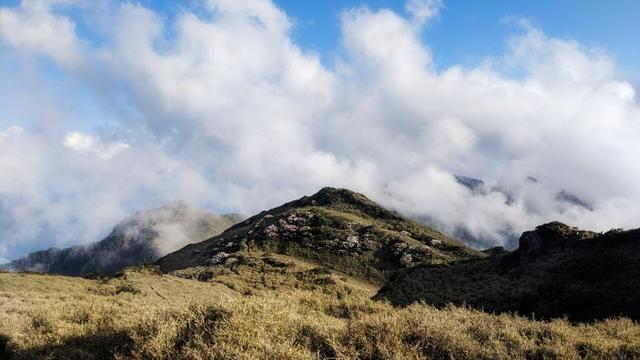 羊毛適合夏天穿?美國戶外品牌SmartWool羊毛衣襪實測體驗