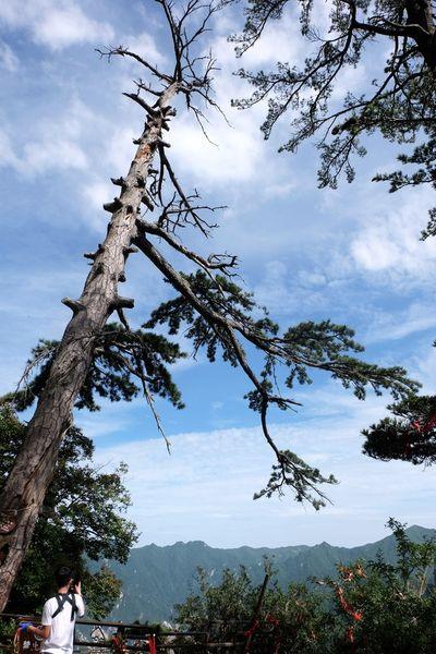 華山第一奇險長空棧道,來西安就是為了它