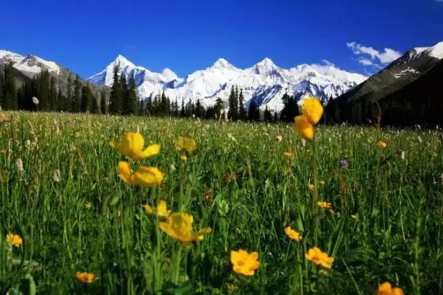 國內(nèi)這些經(jīng)典徒步線路,喜歡戶外的你走過幾條？