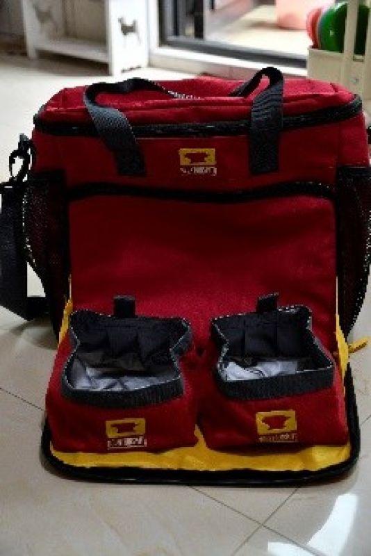 帶著狗狗去戶外,一人一狗的美好山林之旅