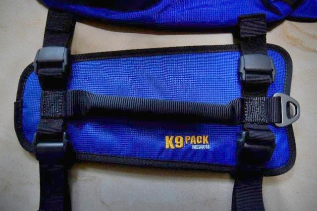 帶著狗狗去戶外,一人一狗的美好山林之旅