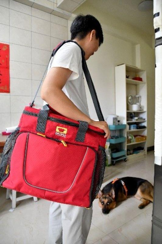 帶著狗狗去戶外,一人一狗的美好山林之旅