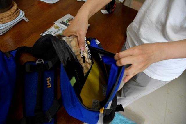 帶著狗狗去戶外,一人一狗的美好山林之旅