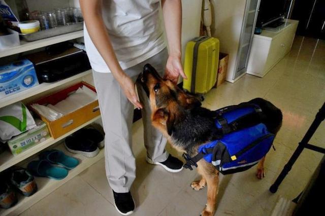 帶著狗狗去戶外,一人一狗的美好山林之旅