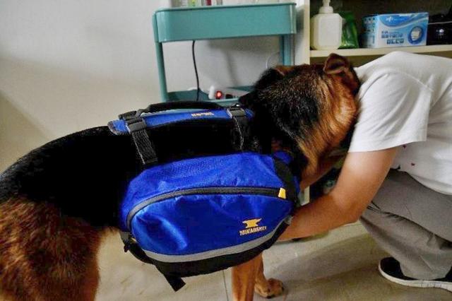 帶著狗狗去戶外,一人一狗的美好山林之旅