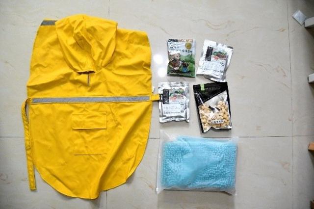 帶著狗狗去戶外,一人一狗的美好山林之旅