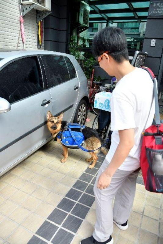 帶著狗狗去戶外,一人一狗的美好山林之旅