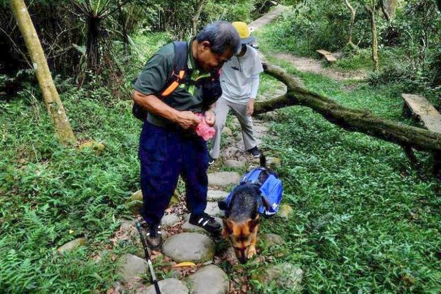 帶著狗狗去戶外,一人一狗的美好山林之旅